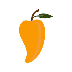 fruit mango icon collection, trendy style