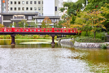 Fototapeta premium Bridge over the pond in the park