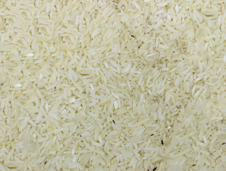 white rice