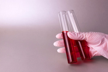 Two test tubes with a blood test in the hand of a medical worker on a gray background. Copy space.