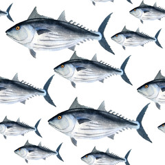 hand drawn watercolor seamless pattern of tuna skipjack fish for commercial fishing saltwater mackerel family known as balaya, aku, arctic bonito for food design labels packaging restaurant menu