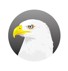 eagle, vector illustration
