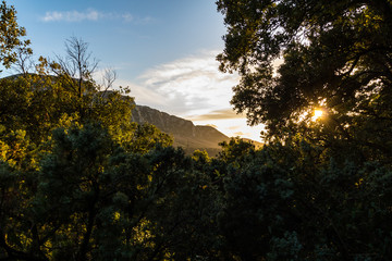 Naklejka premium Lumière rasante du coucher de soleil sur la végétation et le Pic Saint-Loup (Occitanie, France)
