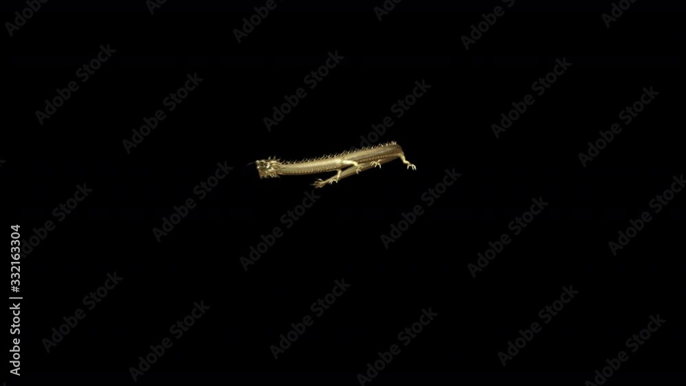 Wall mural gold chinese dragon full body move fast from far to near camera with 3d rendering include alpha path