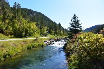 riviere forêt route usa