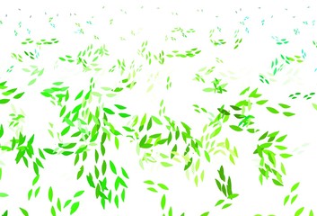 Obraz premium Light Green vector doodle template with leaves.
