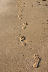 Fototapeta na wymiar Footprints in the sand near the sea. Human footprints on the shore of a sandy beach.