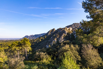 Naklejka premium Paysage du Plateau de la Caume, dans le parc naturel régional des Alpilles, à Saint-Rémy-de-Provence.