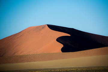 Orange & black dune