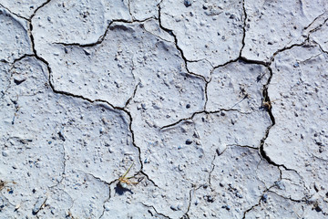 Withered and cracked earth. Dried white mud with cracks. Desert land texture horizontal image