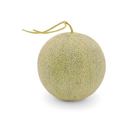 Close up fresh Japanese honey melon cantaloupe with long stalk. Organic fruit for good health and nutrition, ingredient for eat with salad, isolated on white background clipping path.
