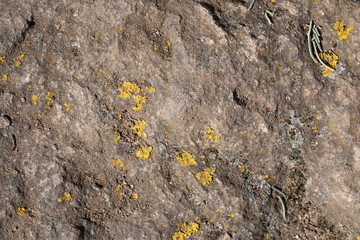 Pierre, texture