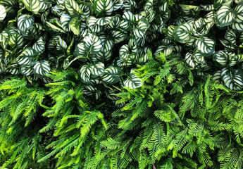 Seamless pattern with artificial tropical leaves and flowers on dark background. Tropic rain forest foliage texture.