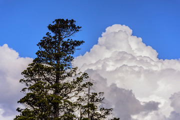 Obraz premium Cumulonimbus view formation in the sky during summer season in Patagonia, Argentina