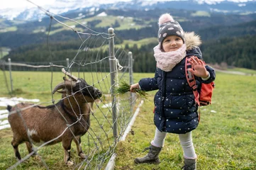 Tuinposter A little girl in warm clothes feeds grass of a mountain goat through a fence in the mountains © benevolente