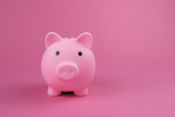 Pink piggy bank on the pink background.Concept of saving money, investment, banking or business services.