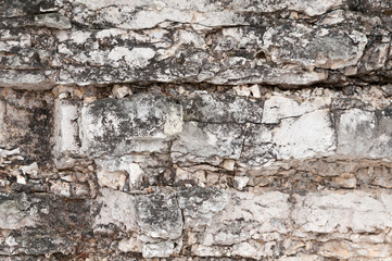 450 million year old Niagara Escarpment dolomite stone ridge near Green Bay shoreline..