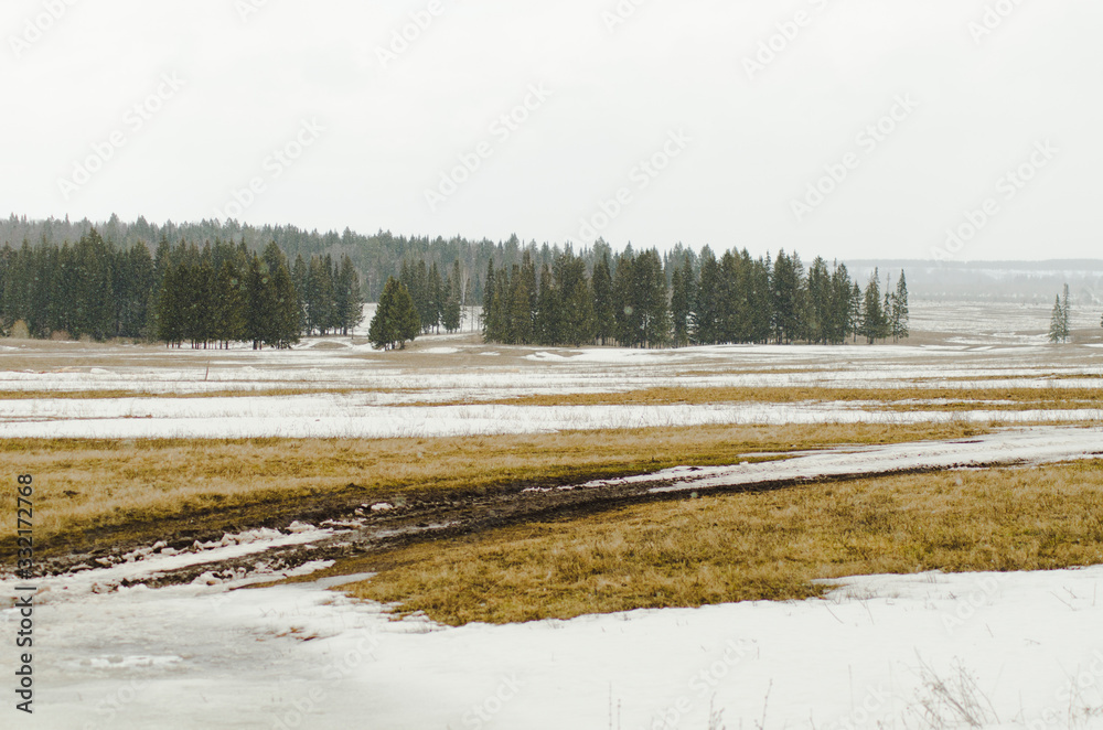 Wall mural Snow field in early spring and country road