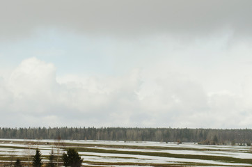 Melting snow in field in early spring