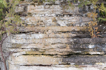 450 million year old Niagara Escarpment dolomite stone ridge near Green Bay shoreline..