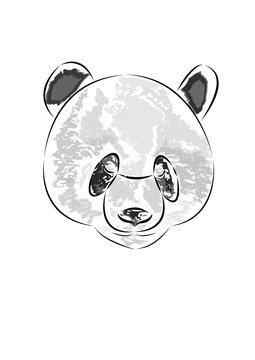 panda bear with white background vector image