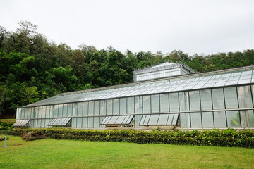 Fototapeta na wymiar Greenhouse and conservatory at Queen Sirikit Botanic Garden and Arboretum, Climber trail for study about Various plant species.