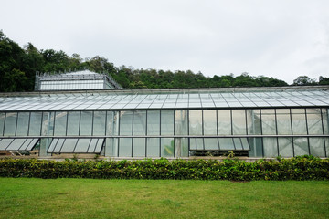 Greenhouse and conservatory at Queen Sirikit Botanic Garden and Arboretum, Climber trail for study about Various plant species.
