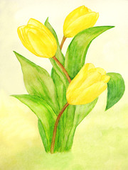 watercolor bouquet of yellow tulips