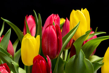 bouquet of red and yellow tulips