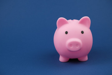 Pink piggy bank on the royal blue. background.Concept of saving money, investment, banking or business services