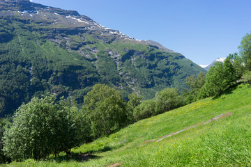 Naklejka premium Geiranger is a small tourist village in Sunnmore region of Norway.