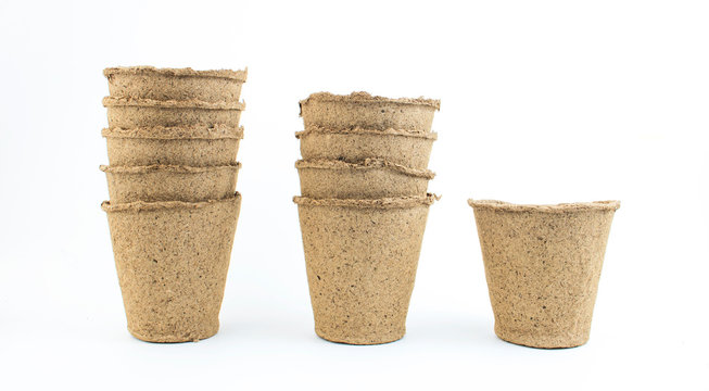 Collection of peat pots for seedlings isolated on a white background. Concept of spring planting, house plants, garden tools, growing seedlings.