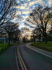 Fototapeta premium road in the forest