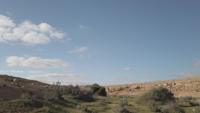 Tilt down from sky to desert ground with green plants after rain