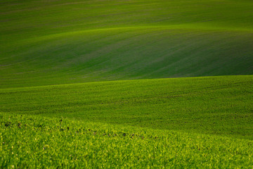 Wonderful landscapes of autumn Moravian fields in the golden hour.