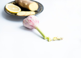 Head of garlic with sprout on a white background