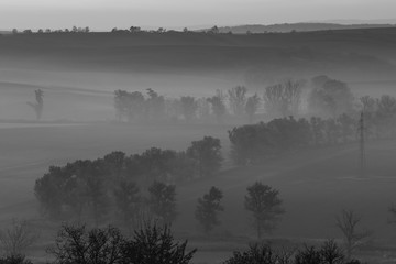 Beautiful Moravian fields with avenues of trees shrouded in morning fog