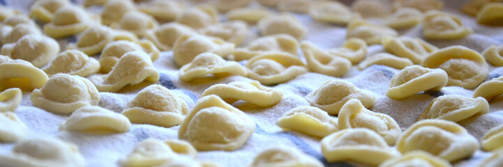 Fototapeta na wymiar Fresh homemade italian pasta orecchiette. Healthy food concept.