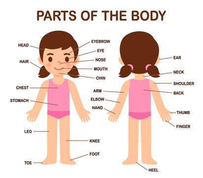 Cute girl body parts