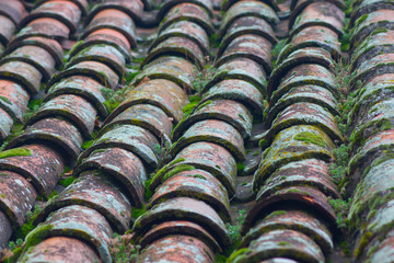 Tiles texture in an old house