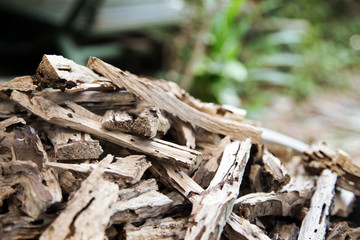 dry wood for making fuel and coal
