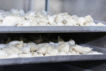 The process of making dumplings, dumplings or meat dumplings. Dumplings - Russian dumplings