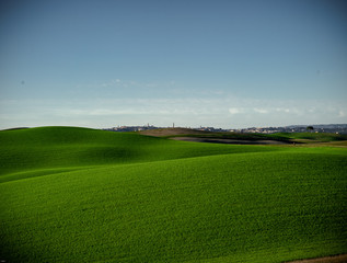 campagna verde