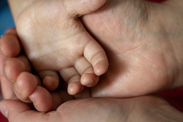 Mother's and baby's hands, top view. Copy space