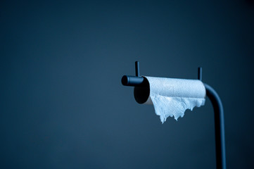 Toilettenpapier kaufen in der Zeit des Corona Virus
