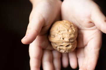 girl holding whole walnut in her hands. Whole walnut, healthy organic food concept. Top view.