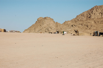 a trip to sharm el sheik beautiful desert