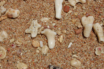 a trip to sharm el sheik beautiful desert