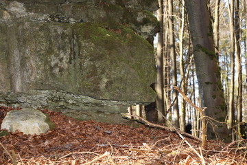 bemooste Felsen im Oberfränkiscchen Wald