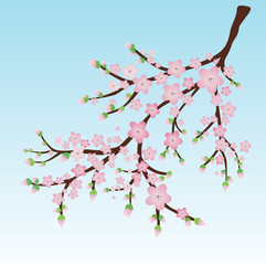  A vector illustration af a branch with pink blossoms and flower butts